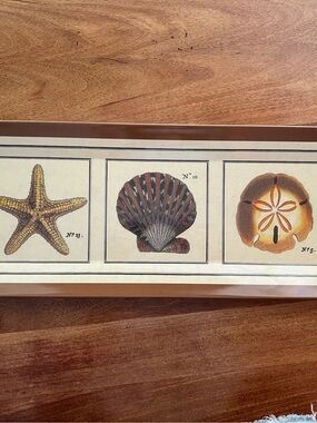 Mud pie coastal melamine serving tray silver clam shell handles starfish 23”